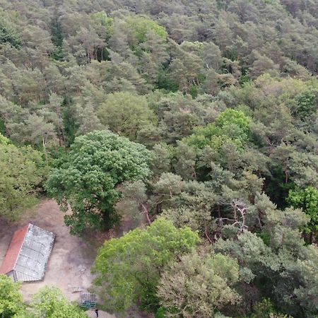Natuurslaapkamer De Zaadeest Boskamer Lomm Exteriér fotografie