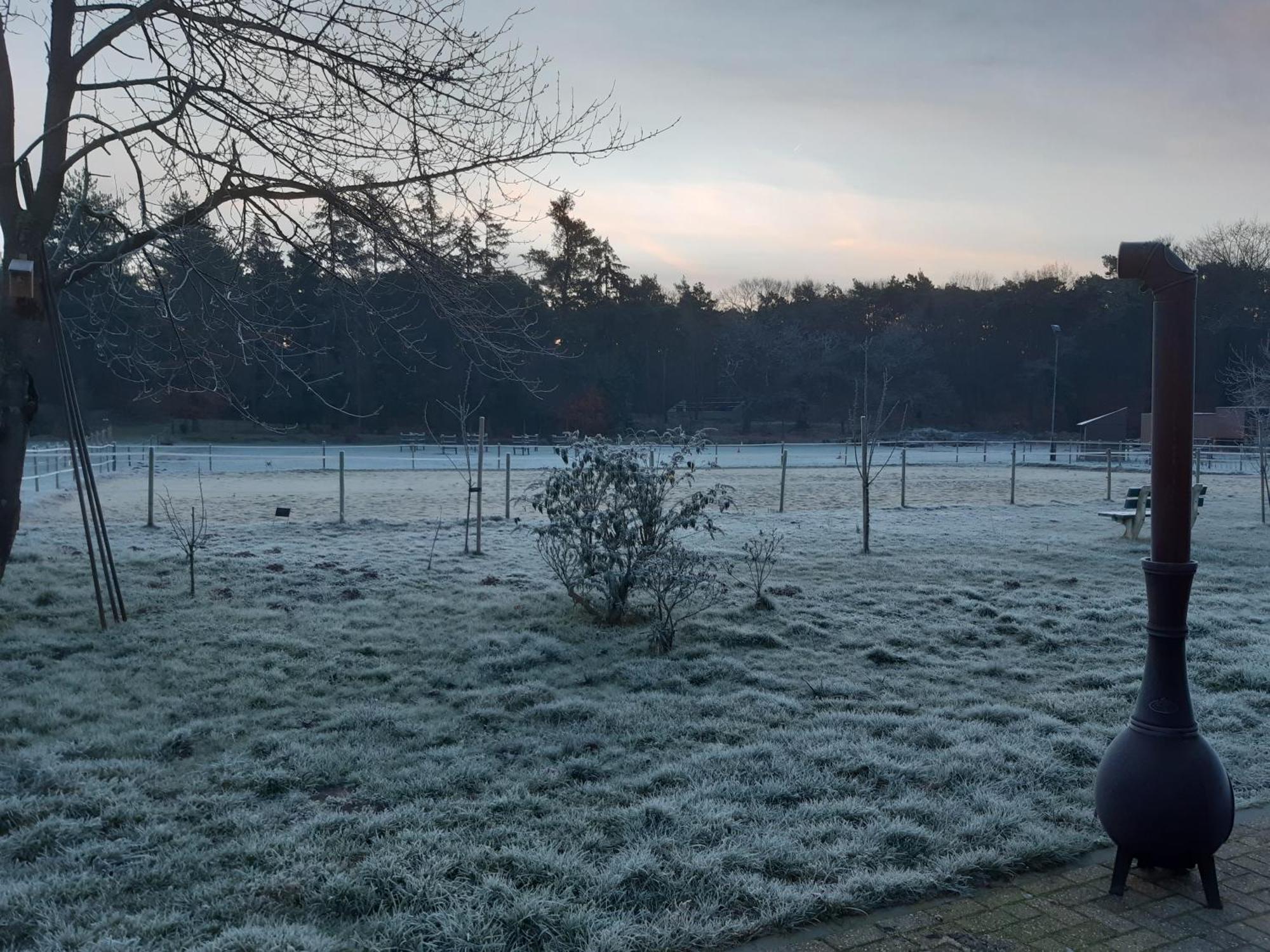 Natuurslaapkamer De Zaadeest Boskamer Lomm Exteriér fotografie