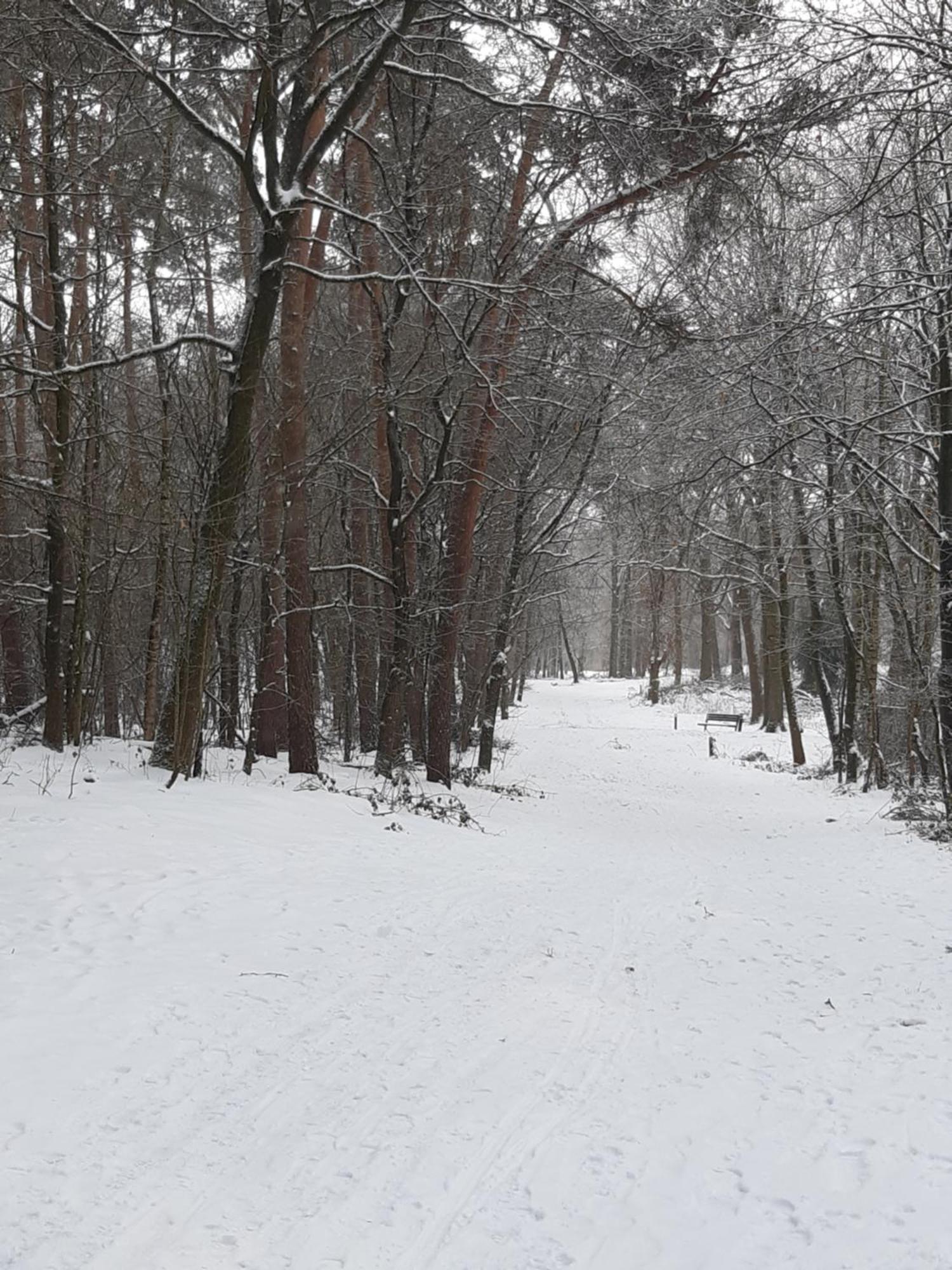 Natuurslaapkamer De Zaadeest Boskamer Lomm Exteriér fotografie